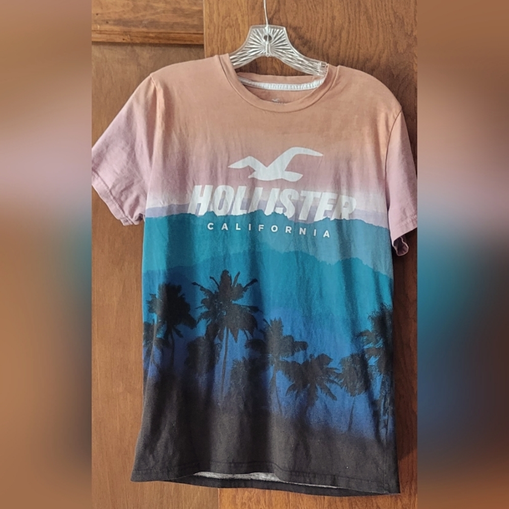 Hollister T shirt